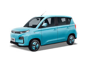 New BAW Brumby 2025 BAW Brumby 2025